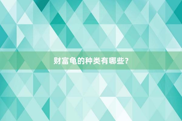 财富龟的种类有哪些？